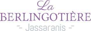 BERLINGOTIERE_LOGOTYPE_HEADER